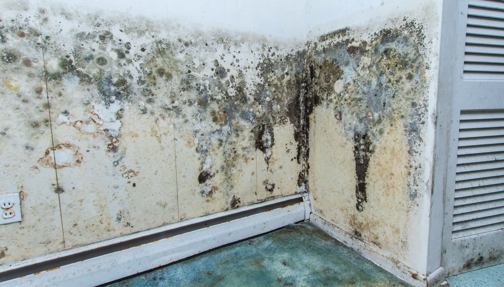 Mold Damage Odor Control Services in Lancaster