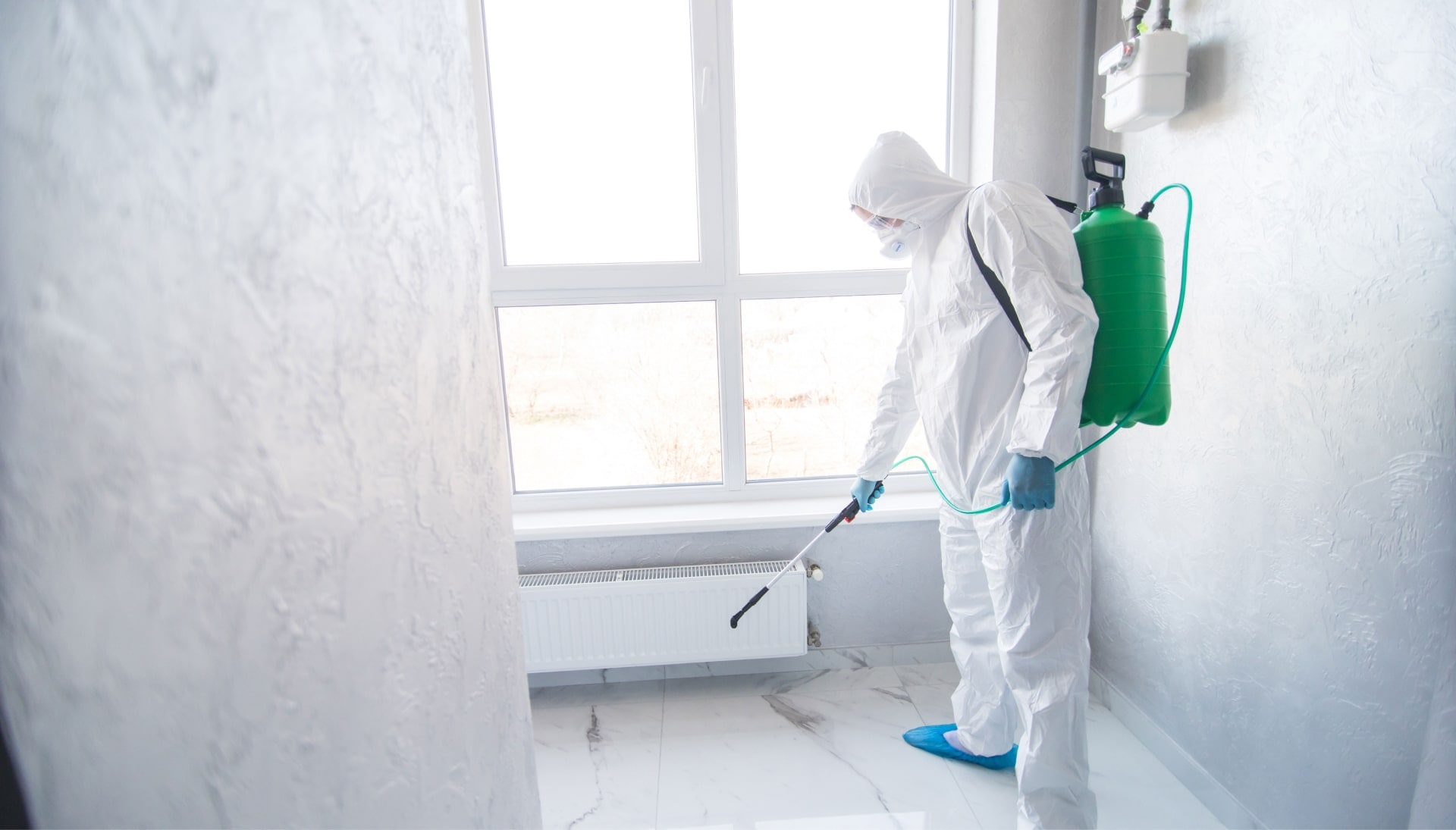Mold Inspection Services in Lancaster